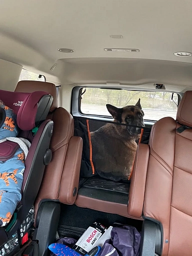 Автогамак для перевозки собак усиленный Хвостатый пассажир с окном и карманами