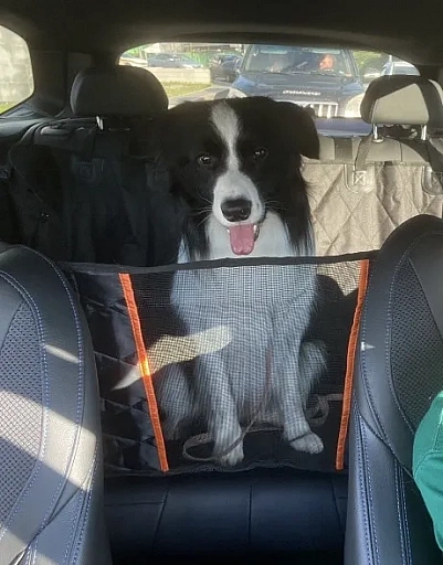 Автогамак для перевозки собак усиленный Хвостатый пассажир с окном и карманами