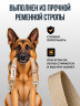 Ремень безопасности для собак в машину регулируемый, бежевый
