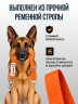 Ремень безопасности для собак в машину регулируемый, оранжевый