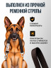 Ремень безопасности для собак в машину регулируемый, шоколадный
